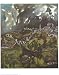 View of Toledo, 1597 Places Art Poster Print by El Greco, 23x29 Image