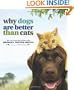 Why Dogs Are Better Than Cats