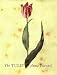 Book The Tulip