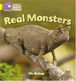  : Real Monsters: Yellow/Band 3 (Collins Big Cat Phonics)