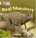 Search : Real Monsters (Collins Big Cat Phonics)