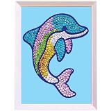 Review K.S.G  / Dolphin - Sequin Magic