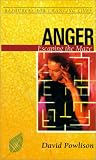 Anger: Escaping the Maze (Resources for Changing Lives)