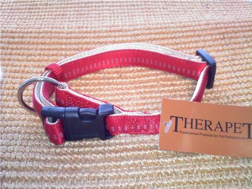Nylon Dog Collar