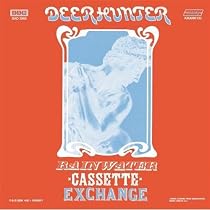 Rainwater Cassette Exchange