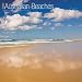 Search : Australian Beaches 2009 Square Wall Calendar