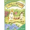 しばわんこ 初夏の香り編
