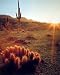 Arizona Desert 16 x 20 City Land & Sea Art Print Posters