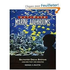 Ultimate Marine Aquariums: Saltwater Dream Systems and How They Are Created