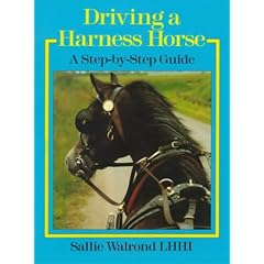 Driving a Harness Horse