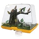 Bug Habitat