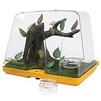 Bug Habitat