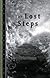 The Lost Steps