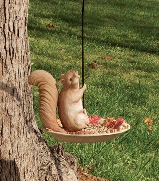 Squirrel Portly Hanging Feeder