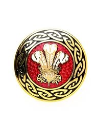 Sea Gems Gold Plated Welsh Plume Of Feathers Brooch