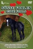Eigenschaften Deutsche Austrophon GmbH  / Little Cuties - Süsse Fohlen