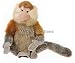 Wildlife / Domestic Animals : Long-Nosed Proboscis Monkey 10.5