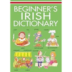 Beginner's Irish Dictionary