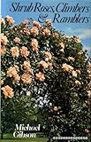Shrub roses, climbers and ramblers