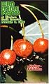 Wild Edible Plants of Western North America