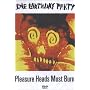 Birthday Party  - Pleasure Heads Must Burn