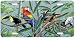 Rainforest Menagerie- Parrots - Wildlife Art Print - License Plate Tag By Hautman Brothers From Airstrike