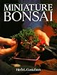 Miniature Bonsai