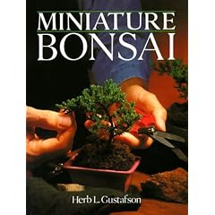 Miniature Bonsai