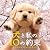 犬と私の10の約束 オリジナルサウンドトラック