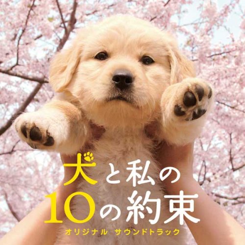 犬と私の10の約束 オリジナルサウンドトラック サントラ Sung-Min Woo Jee Hoon Lee