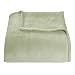BLANKET MICROPLUSH SAGE GRN - Full/Queen