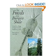 Fossils of the Burgess Shale