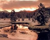 Nature Snow Lake Tree Indian Creek Art Poster Print - 20 X 16