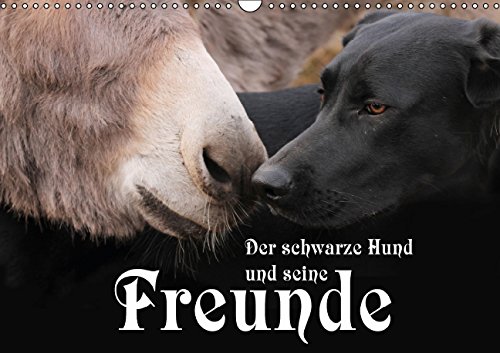 Der schwarze Hund und seine Freunde Wandkalender 2016 by Calvendo PDF