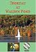Thoreau at Walden Pond DVD