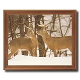 Two Large Whitetail Buck Deer In Snow And Trees Animal Wildlife Home Decor Wall Picture Oak Framed Art Print