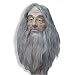 Harry Potter Albus Dumbledore Mask