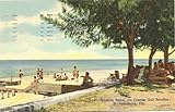 1950s Vintage Postcard - Madeira Beach - St. Petersburg Florida