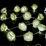 KINGSO 20 LED Battery Operated Rose Flower String Lights Wedding Garden Christmas Decor (White)