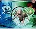 Photographic Print of Computer artwork depicting the cloning of humans from Science Photo Library