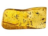 MM VARIES LARGE FREE FORM COPAL FROM COLOMBIA