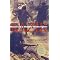 Modern Jewish/Israeli History