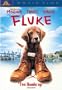 Fluke