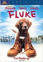 Fluke