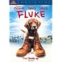 Fluke