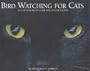 Birdwatching for Cats: An Entertainment Guide for Indoor Felines