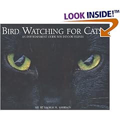 Bird Watching for Cats: An Entertainment Guide for Indoor Felines