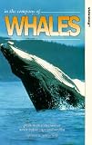 Review Carlton Visual Entertainment Ltd  / In the Company of Whales [1992]