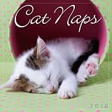 Cat Naps 2010 Mini Wall Calendar