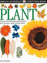 Eyewitness Plant